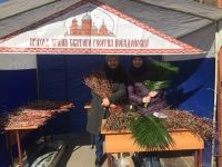 Социальные мероприятия сестричества