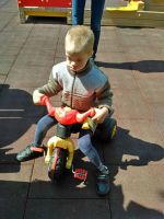 Поездка в «Аревик»