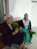 День Святой Троицы