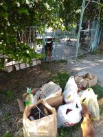 Поездка к Анжелике Скрынниковой