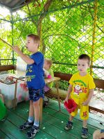 Поездка в «Аревик»