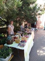 «Доброе сердце»