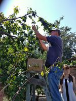 Посещение подопечных