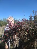 Поездка в Займо-Обрыв