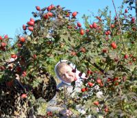 Поездка в Займо-Обрыв