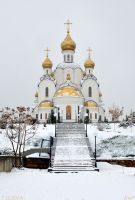 Прославление иерея Константина Верецкого