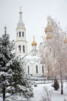 Прославление иерея Константина Верецкого