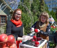 Праздник Входа Господня в Иерусалим