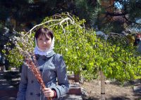 Праздник Входа Господня в Иерусалим