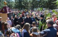 Праздник Входа Господня в Иерусалим