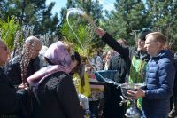 Праздник Входа Господня в Иерусалим