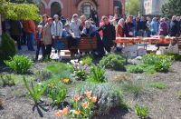 Праздник Входа Господня в Иерусалим