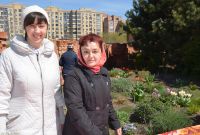 Праздник Входа Господня в Иерусалим