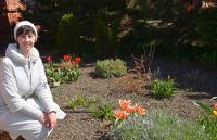 Праздник Входа Господня в Иерусалим