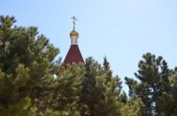 Праздник Входа Господня в Иерусалим