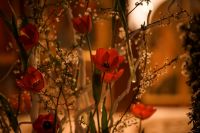 Праздник Входа Господня в Иерусалим