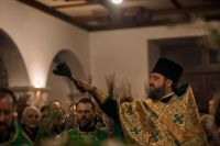 Праздник Входа Господня в Иерусалим