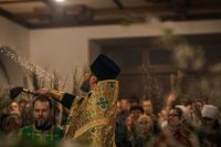 Праздник Входа Господня в Иерусалим