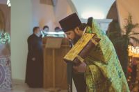 Праздник Входа Господня в Иерусалим