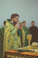 Праздник Входа Господня в Иерусалим