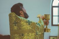 Праздник Входа Господня в Иерусалим