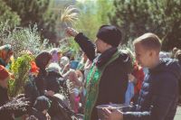 Праздник Входа Господня в Иерусалим