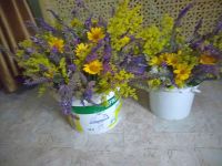 Собрание сестер милосердия