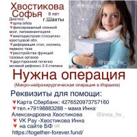 Хвостикова Софья