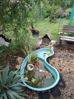 Поездка в «Аревик»