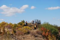 Паломническая поездка сестричества в село Куйбышево