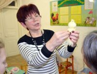 Поездка в «Аревик»