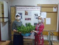 Поздравление с Днем Святой Троицы