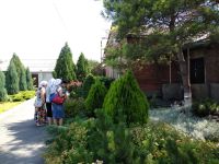 Поездка в Чалтырь