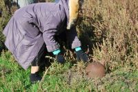 Паломническая поездка сестричества