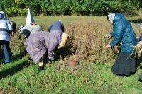 Паломническая поездка сестричества