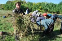 Паломническая поездка сестричества