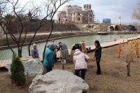 Пенсионеры клуба «Оптимист»