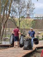 Уборка Георгиевского сада