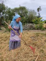 Уборка Георгиевского сада