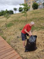 Уборка Георгиевского сада