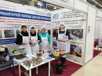 Выставка «Дон Православный»