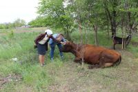 С радостью делимся с вами добрыми делами