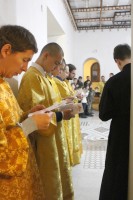 Общее говение