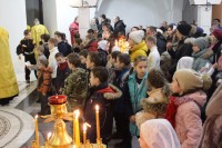 Общее говение