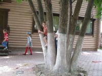 Завершилась летняя площадка для дошкольников Завершилась летняя площадка для дошкольников