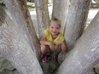 Завершилась летняя площадка для дошкольников Завершилась летняя площадка для дошкольников