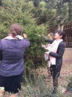 Практическое занятие