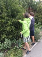 Практическое занятие