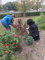 Практическое занятие