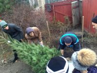 Древонасаждение